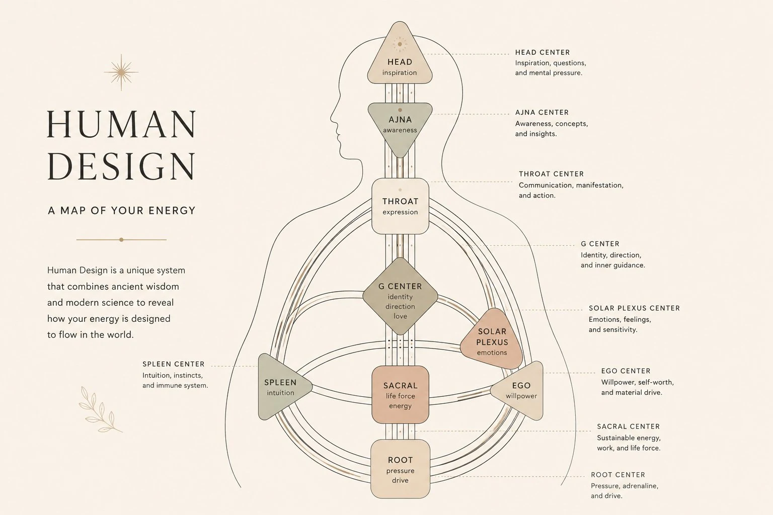 What is Human Design video